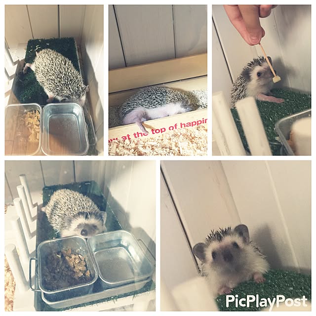 RURULOVEさんの実例写真