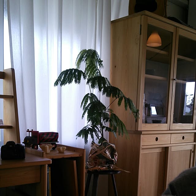 F.B.Fさんの実例写真