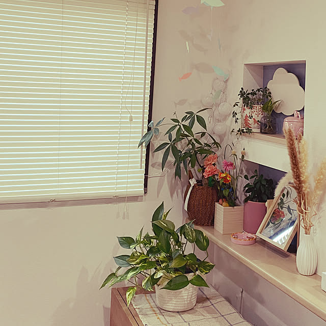 chan-homeさんの部屋
