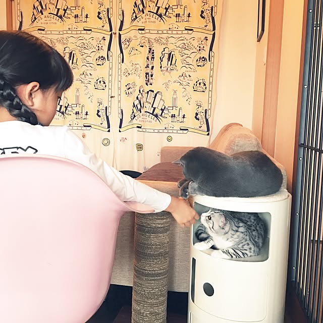 Shojiさんの実例写真