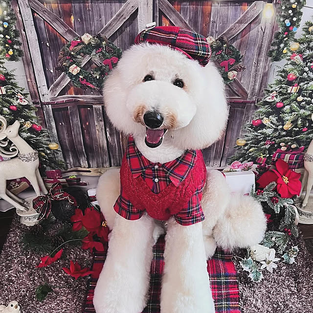 nackeyさんの実例写真