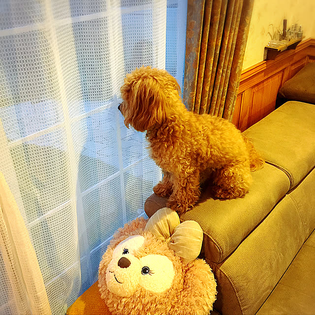 Rさんの実例写真