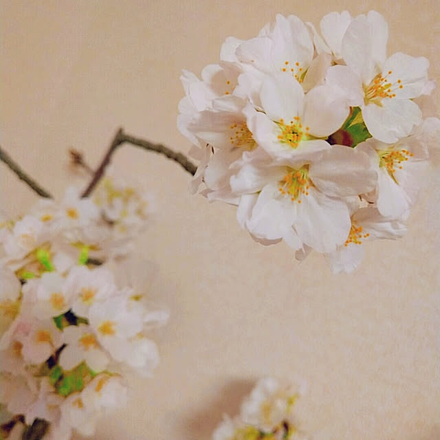Takakoさんの実例写真