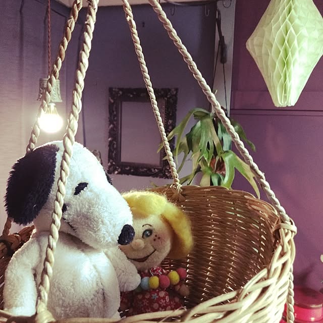 nikkoriさんの実例写真