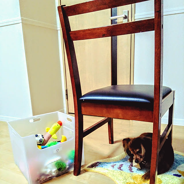 toratanさんの実例写真