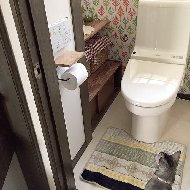kotoriさんの実例写真