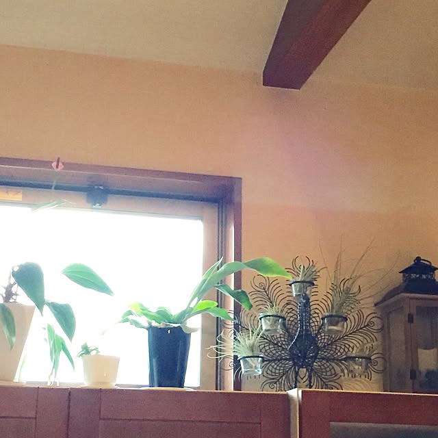 happygardenさんの実例写真