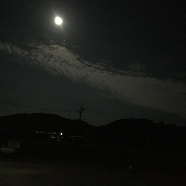 kannさんの実例写真