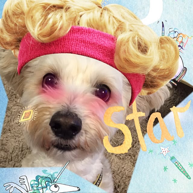 doramiさんの実例写真