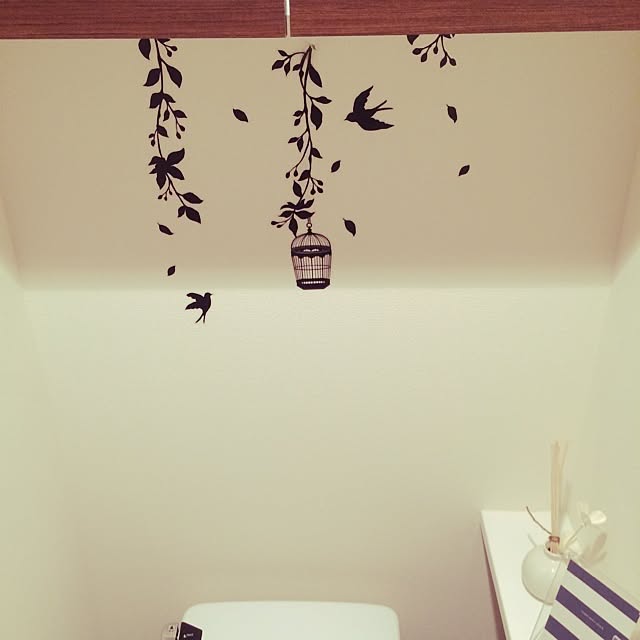 Tacciさんの実例写真