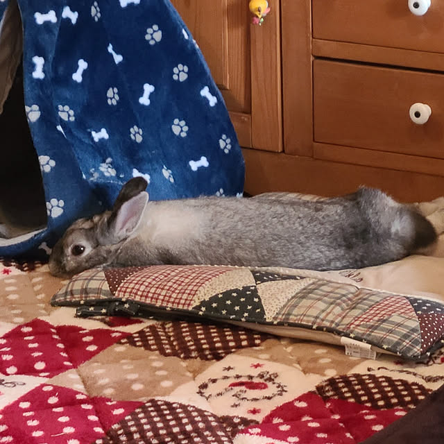 SHOさんの実例写真