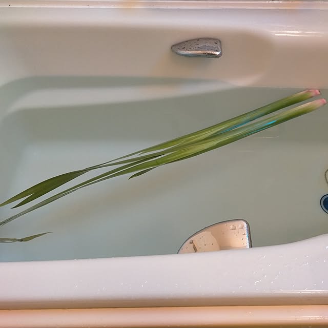 michiさんの実例写真