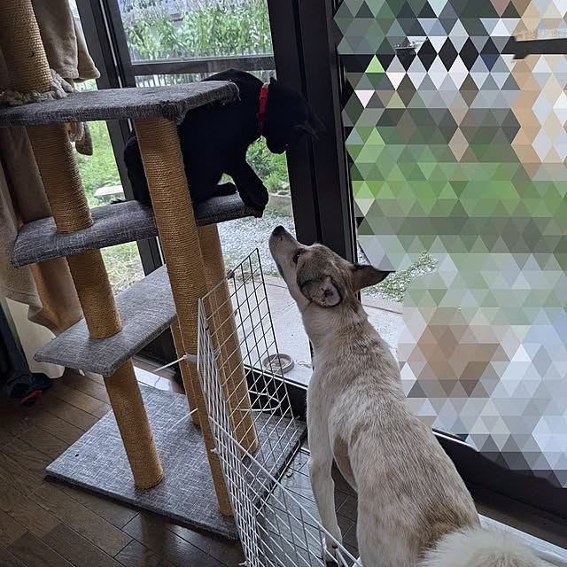 asaさんの部屋