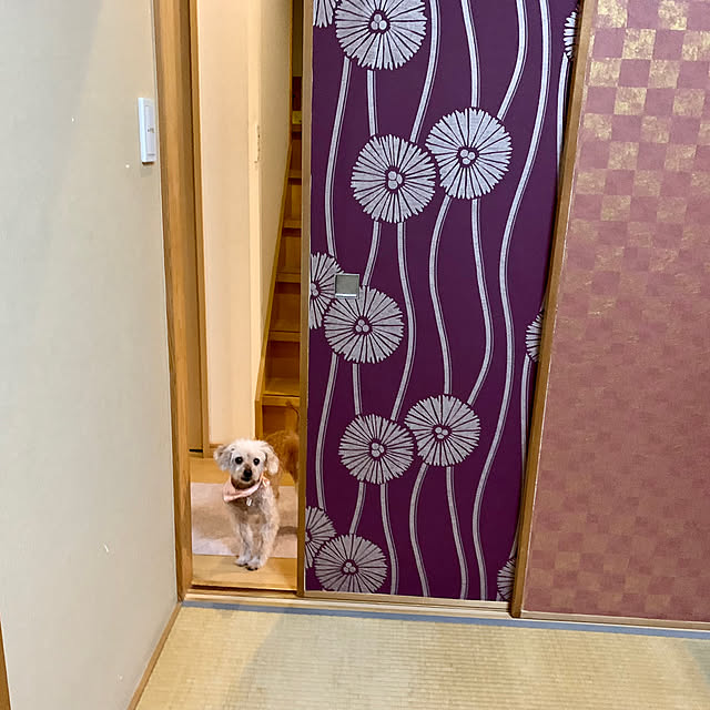 aporotiaさんの実例写真