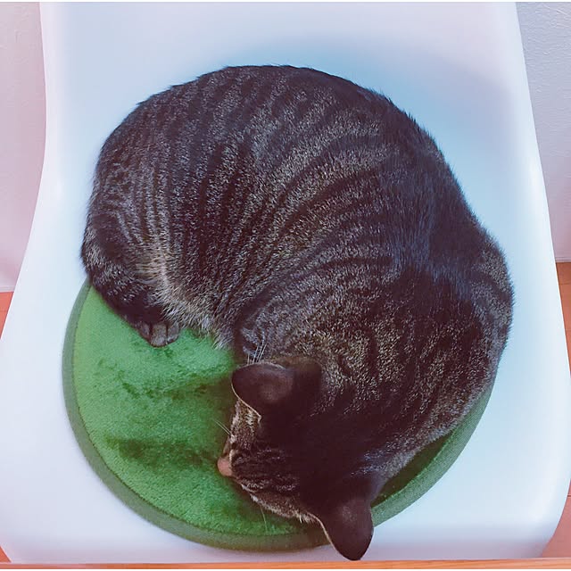 nyan.73さんの実例写真
