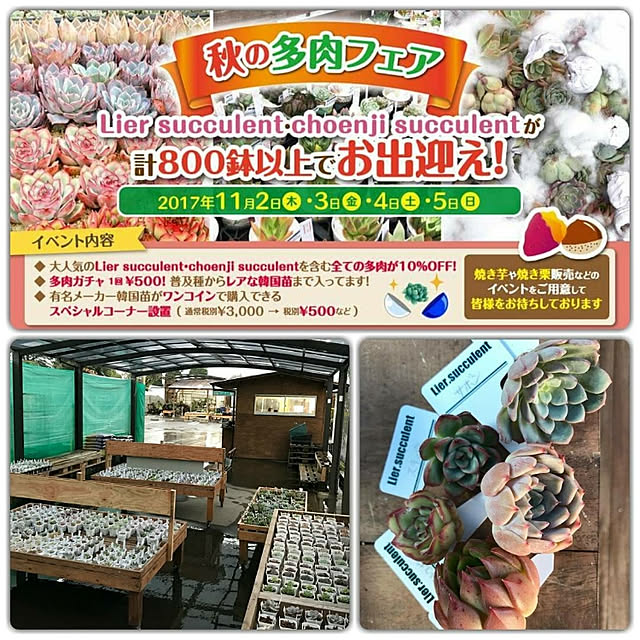 miccoさんの実例写真
