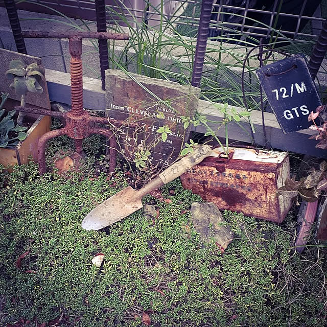hinatoaさんの実例写真