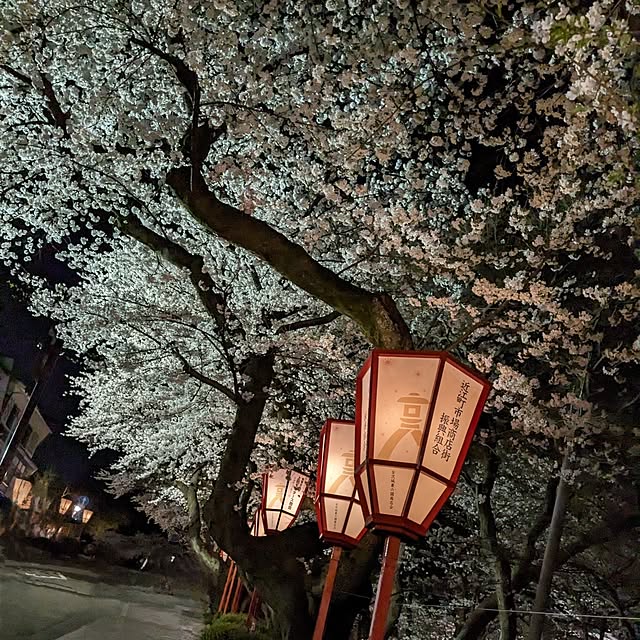 sayan_0321さんの部屋