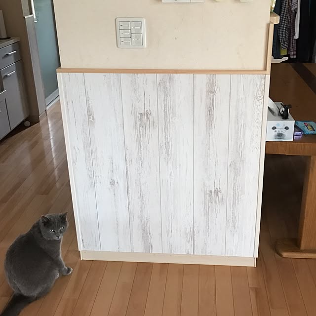 ayumiさんの実例写真