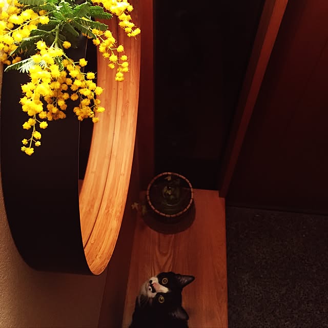 kachumomoさんの実例写真
