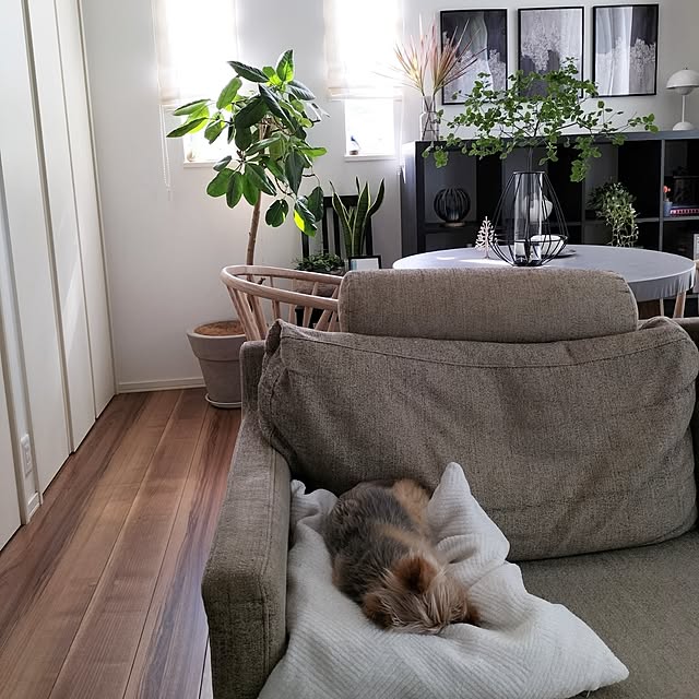 coco0.84.さんの部屋