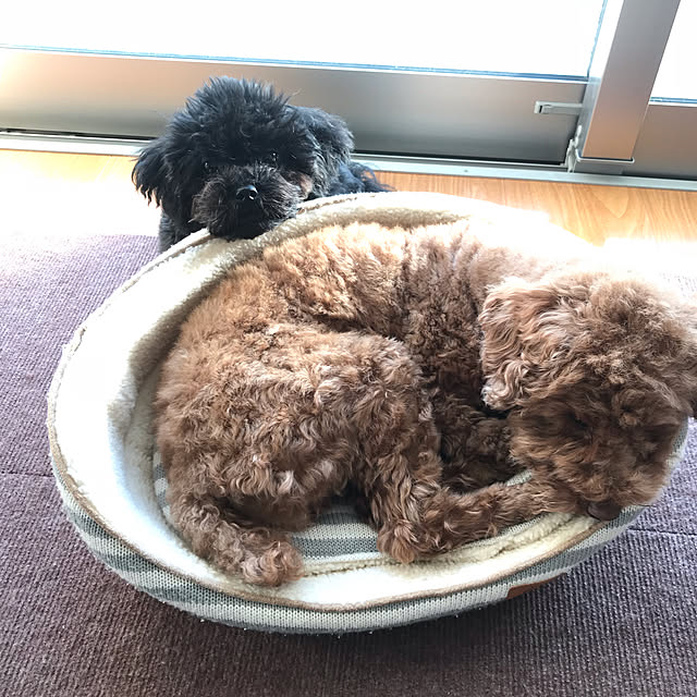 moconana.さんの実例写真
