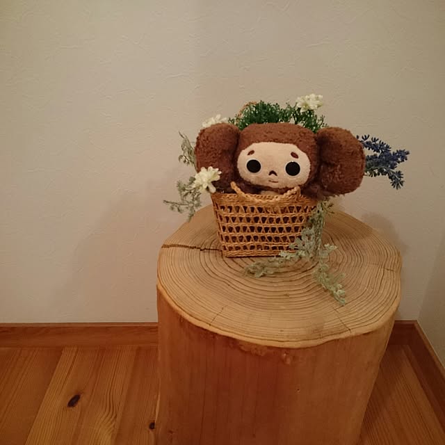 kolmeさんの実例写真