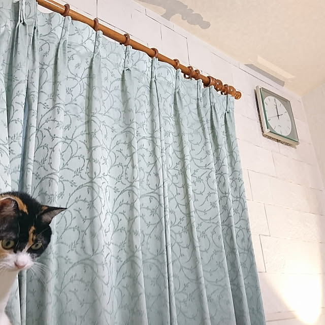 pomeloverさんの実例写真