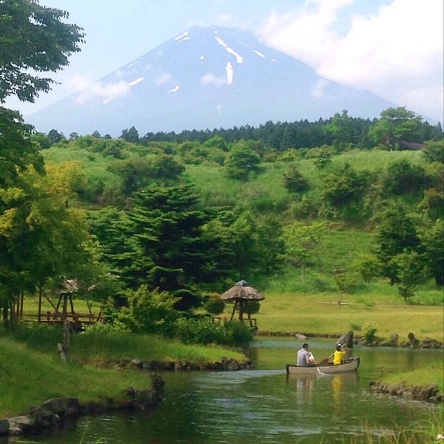 実例写真