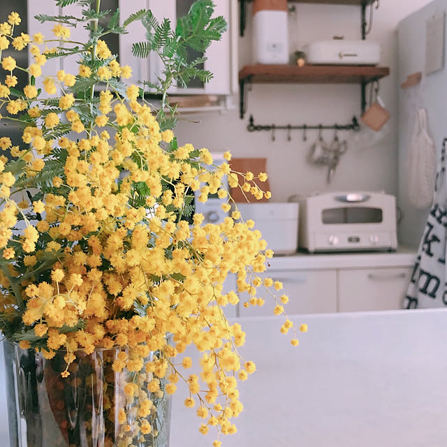 milkcocoaさんの部屋