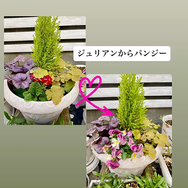 YuuKoさんの実例写真