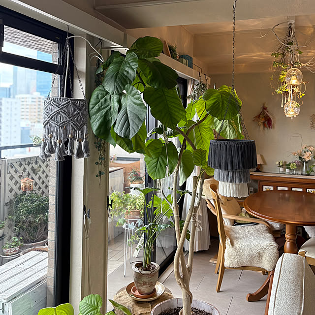 momo_sanさんの実例写真