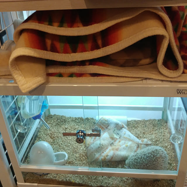 kentamaさんの実例写真