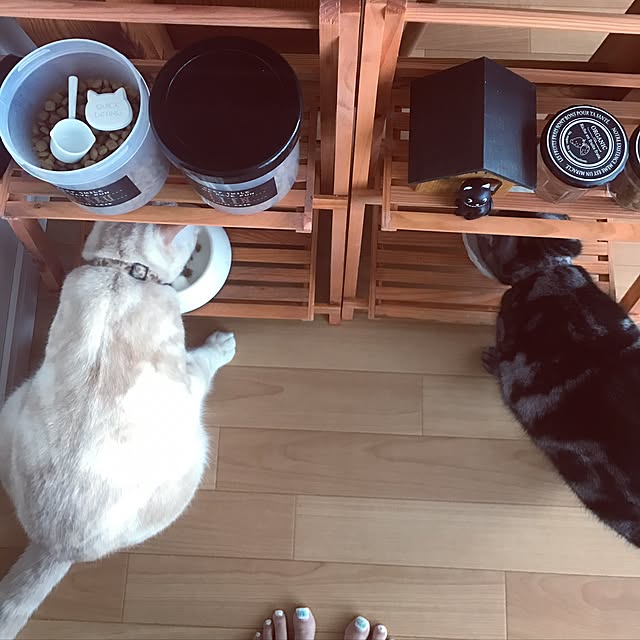 hiyupan88さんの実例写真