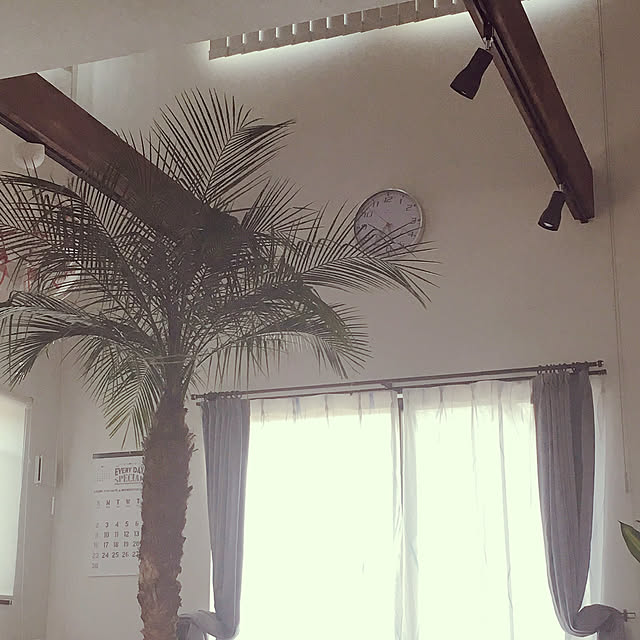 Rieさんの実例写真