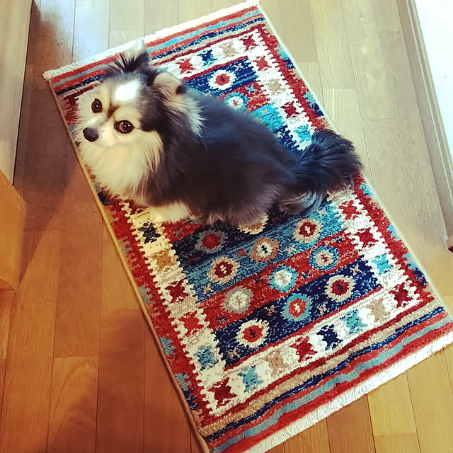mizuさんの実例写真