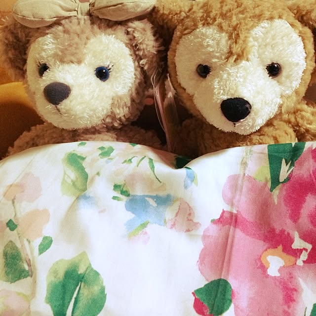 shionさんの実例写真