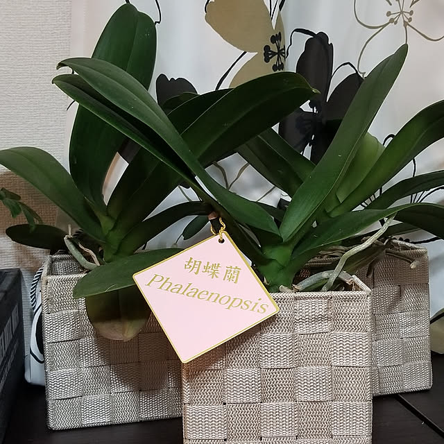 korokoroさんの実例写真