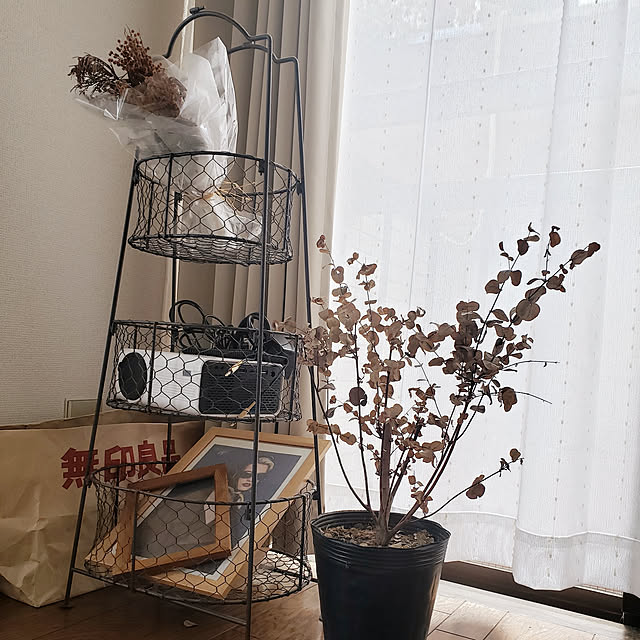 tomkanさんの実例写真