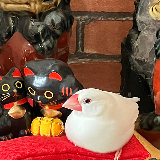 u-さんの実例写真