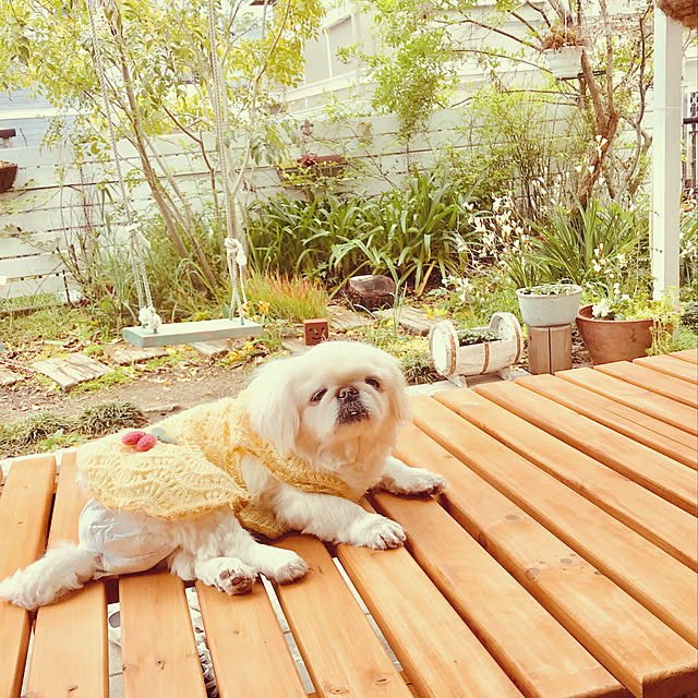 marimoさんの実例写真
