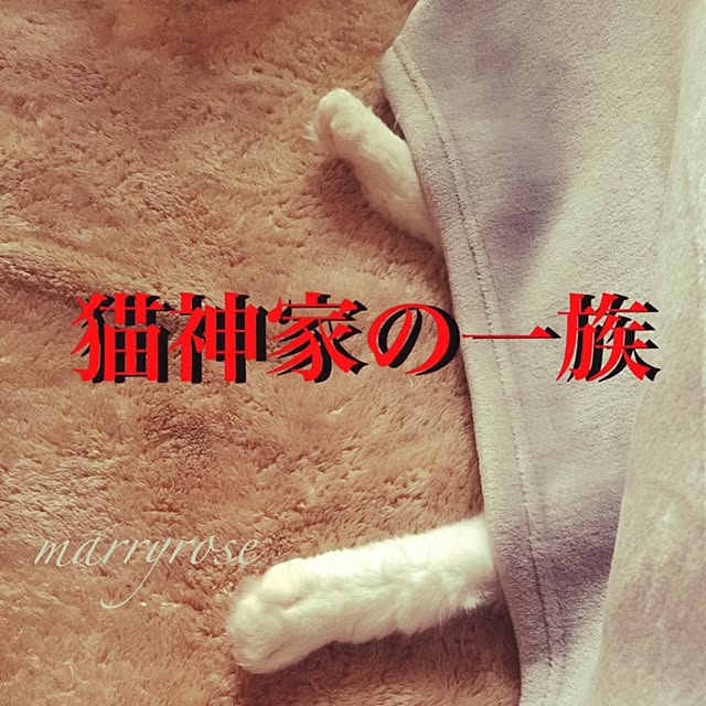 maria.rさんの実例写真
