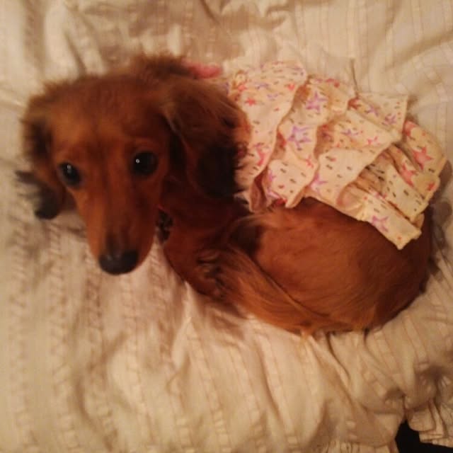 maronmomoさんの実例写真
