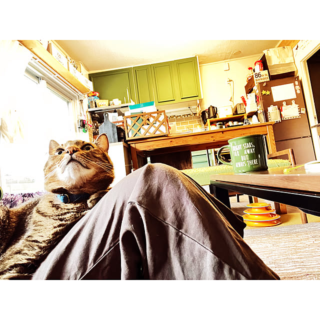 sumoanzuさんの実例写真