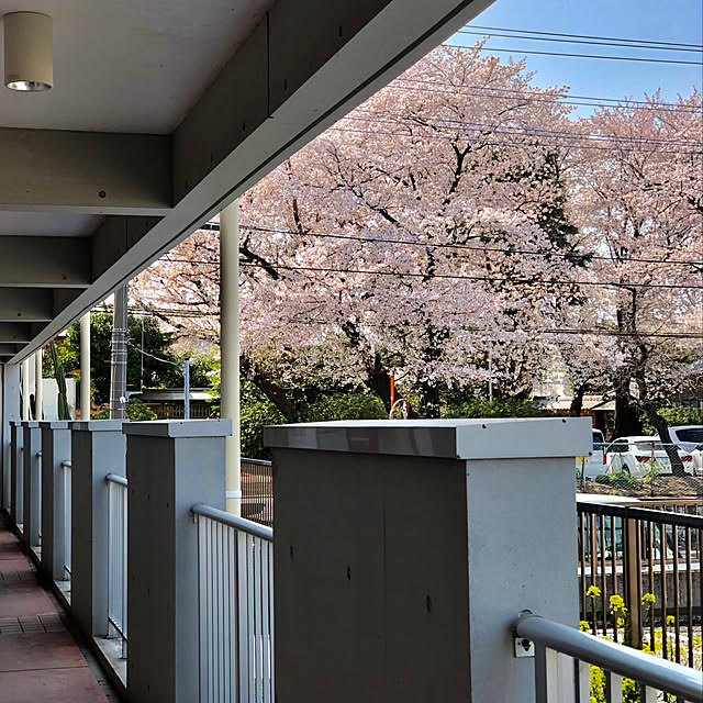 Hiroshiさんの実例写真