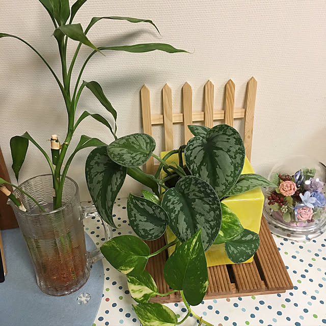 tomobaさんの実例写真