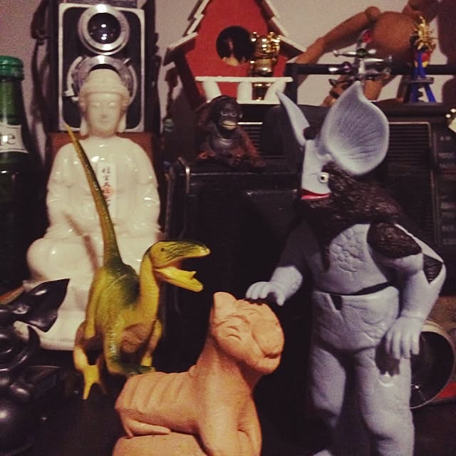 Hatoさんの実例写真