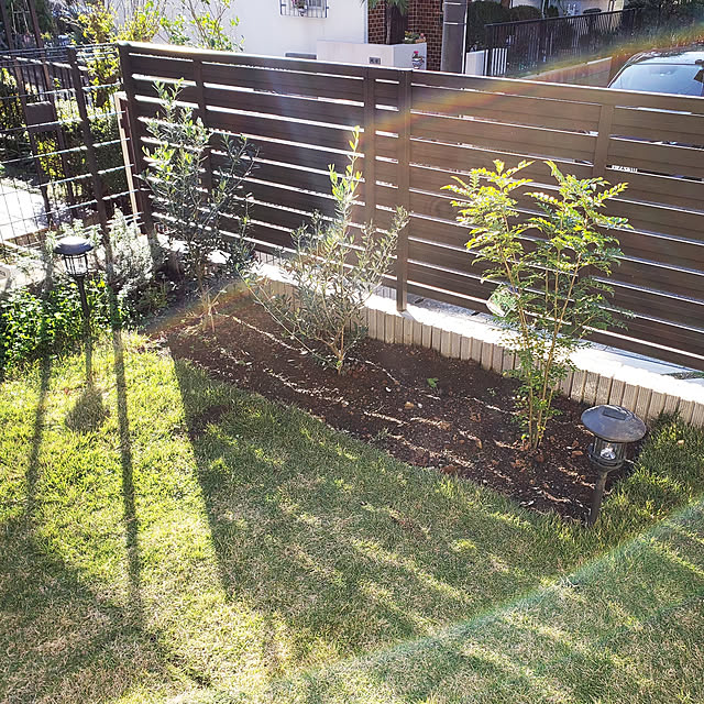 masaさんの実例写真