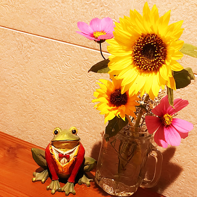 oさんの実例写真