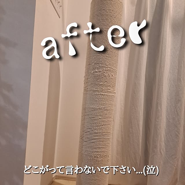 kankanmom_horn_5catsさんの部屋